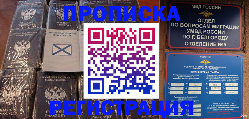 прописка гарантия в Нижнеудинске